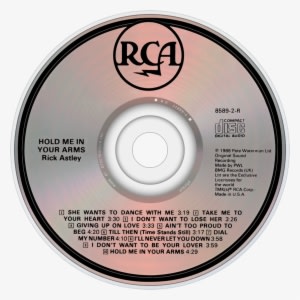 Rick Astley Hold Me In Your Arms Cd Disc Image - Summer Madness [vinyl] Kc Flightt Transparent PNG - 1000x1000 - Free Download on - Summer Transparent PNG Free Download