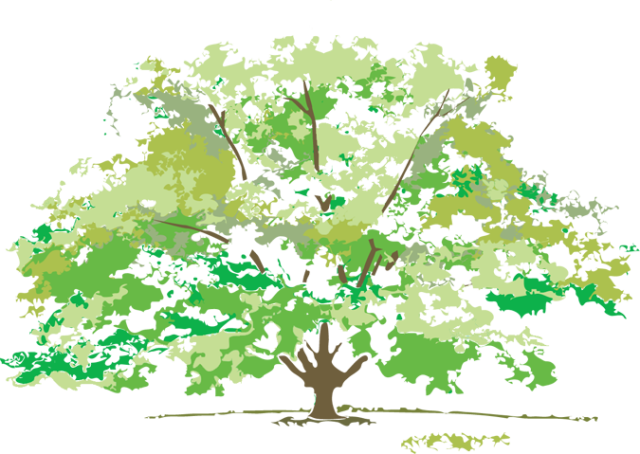 Free Maple Tree Clip Art Design - Summer Nature Clip Art Transparent PNG - 640x454 - Free Download on - Transparent PNG Free Download