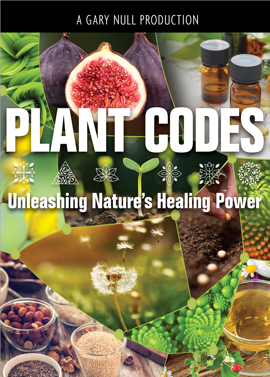 Unleashing Nature's Healing Power Dvd - Summer Of Annah: A Midsummer's Wish Transparent PNG - 1200x1200 - Free Download on - Transparent PNG Free Download