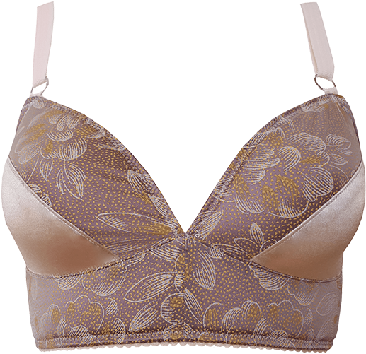 Bra Butterfly Bush - Summer Lilac Transparent PNG - 768x768 - Free Download on - Transparent PNG Free Download