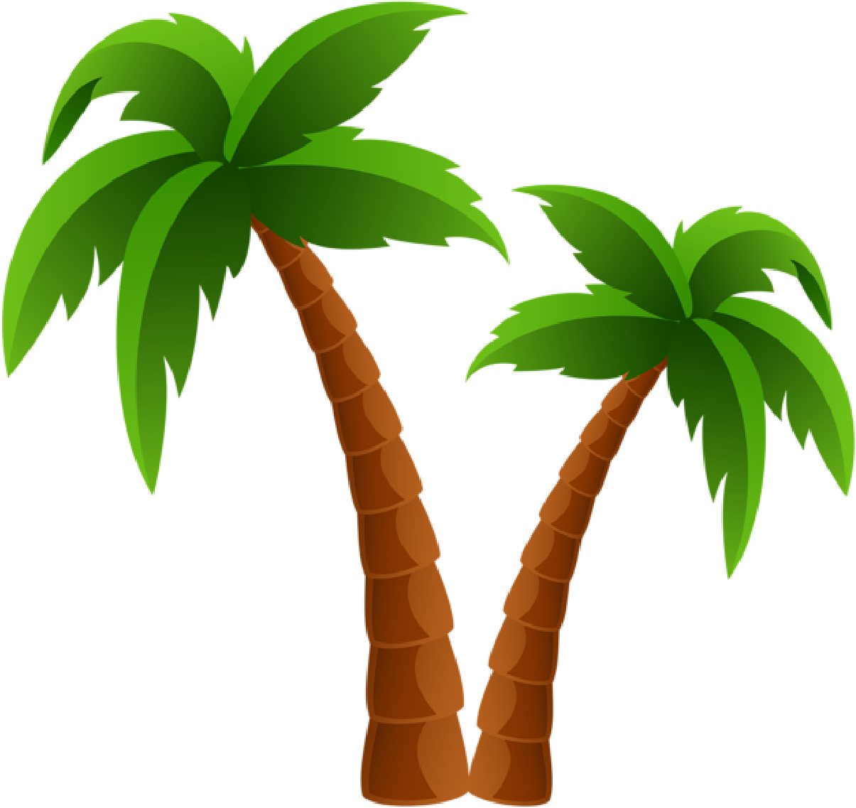 Two Palm Trees Png Clipart Image - Palm Tree Clipart Transparent Transparent PNG - 600x566 - Free Download on - Transparent PNG Free Download