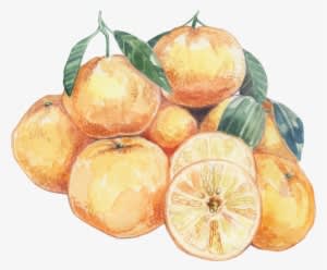 Summer Oranges - Orange Transparent PNG - 1923x1616 - Free Download on - Transparent PNG Free Download