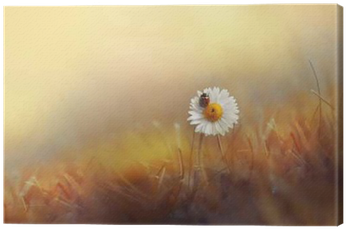 Flower Daisies Chamomile With Ladybug In The Grass - Wandtattoo Buddha Klebefieber Größe: 50 Cm H X 40 Cm Transparent PNG - 400x400 - Free Download on - Transparent PNG Free Download