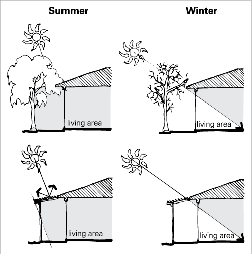 A Deciduous Tree Near The Living Area Of A House Provides - Design Strategies For Hot And Dry Climate Transparent PNG - 500x503 - Free Download on - Transparent PNG Free Download