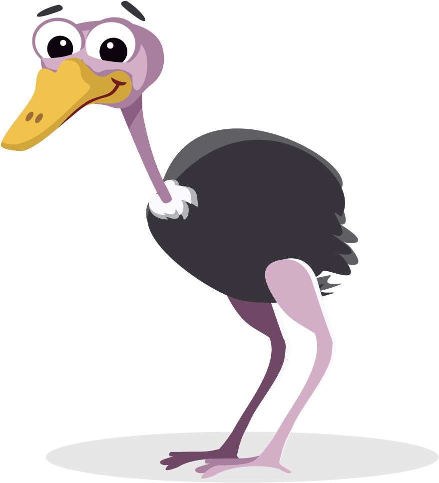 Will Fill The Weeks Ahead - Ostrich Clipart Png Transparent PNG - 1000x1000 - Free Download on - Transparent PNG Free Download