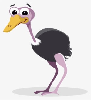 Will Fill The Weeks Ahead - Ostrich Clipart Png Transparent PNG - 1000x1000 - Free Download on - Summer Transparent PNG Free Download
