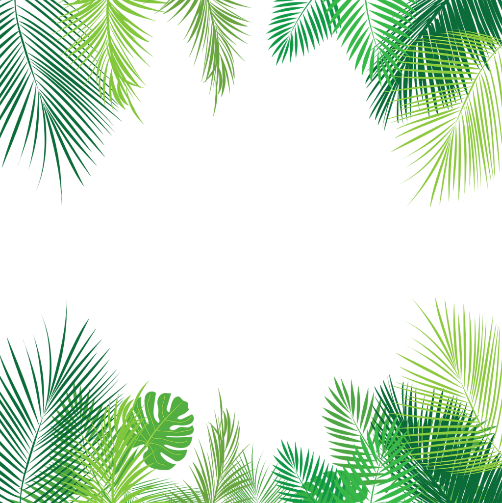 Tropical Leaves Palmleaves Summer Border Overlay Freeto - Tropical Leaves Border Png Transparent PNG - 1024x1025 - Free Download on - Summer Transparent PNG Free Download