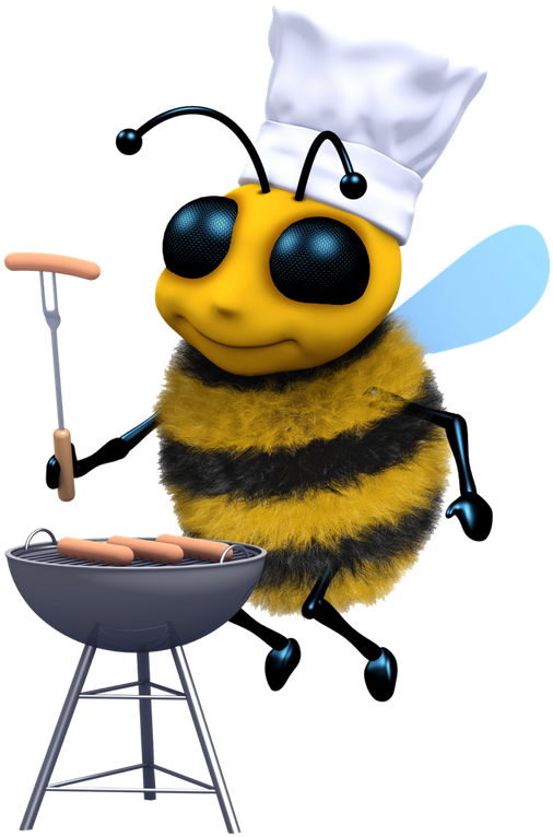 Summer Is Officially Here, So It's Time To Consider - Barbecue Grill Transparent PNG - 800x800 - Free Download on - Transparent PNG Free Download