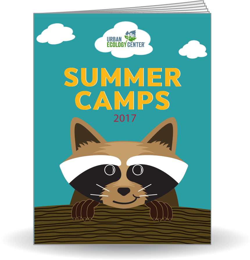 Link To Summer Camp 2016 Guide - Urban Ecology Center Transparent PNG - 859x918 - Free Download on - Summer Transparent PNG Free Download
