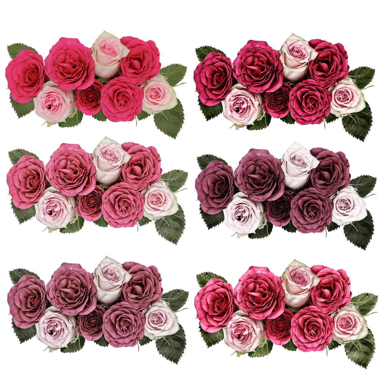 Roses,flowers,rose - Png Jardim De Flores Transparent PNG - 500x500 - Free Download on - Transparent PNG Free Download