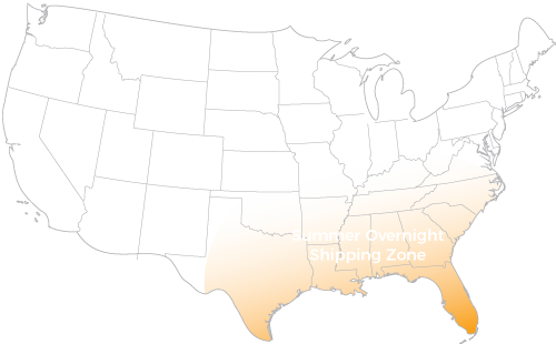 Is It Summer Are You In A Southern State Select Our - Sketch Transparent PNG - 500x310 - Free Download on - Transparent PNG Free Download