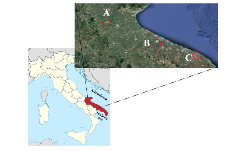 Map Of Italy With Puglia Region In Red And The Areas - Italy Transparent PNG - 850x520 - Free Download on - Transparent PNG Free Download