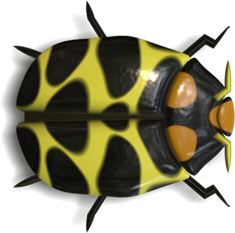 Ladybird Beetle Transparent PNG - 500x500 - Free Download on - Transparent PNG Free Download