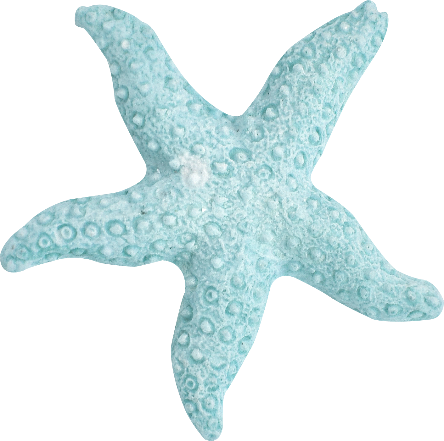 Coastal, Summer, Blue, Turquoise, Green, Summer Time, - Starfish Transparent PNG - 1411x1403 - Free Download on - Transparent PNG Free Download