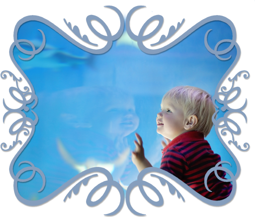 Fun And Free Things To Do With Baby In North Texas - Infant Transparent PNG - 514x438 - Free Download on - Transparent PNG Free Download