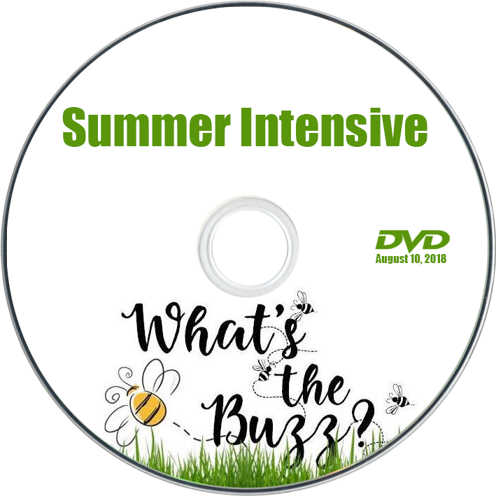 Summer-dvd Transparent PNG - 745x745 - Free Download on - Transparent PNG Free Download