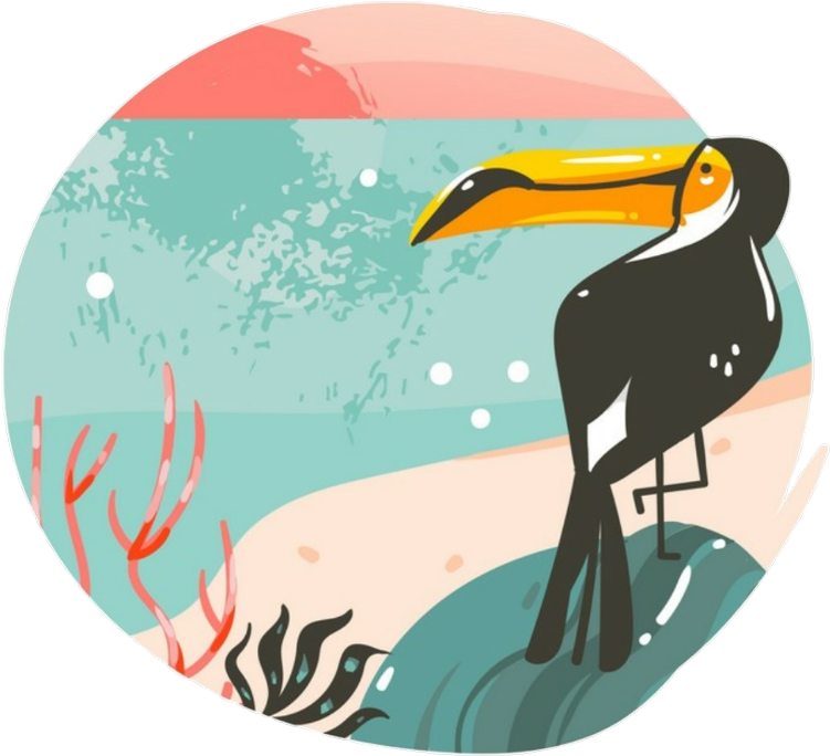 Freetoedit Ftesticker Tucan Summer Summervibes Beach - Illustration Transparent PNG - 1024x902 - Free Download on - Transparent PNG Free Download