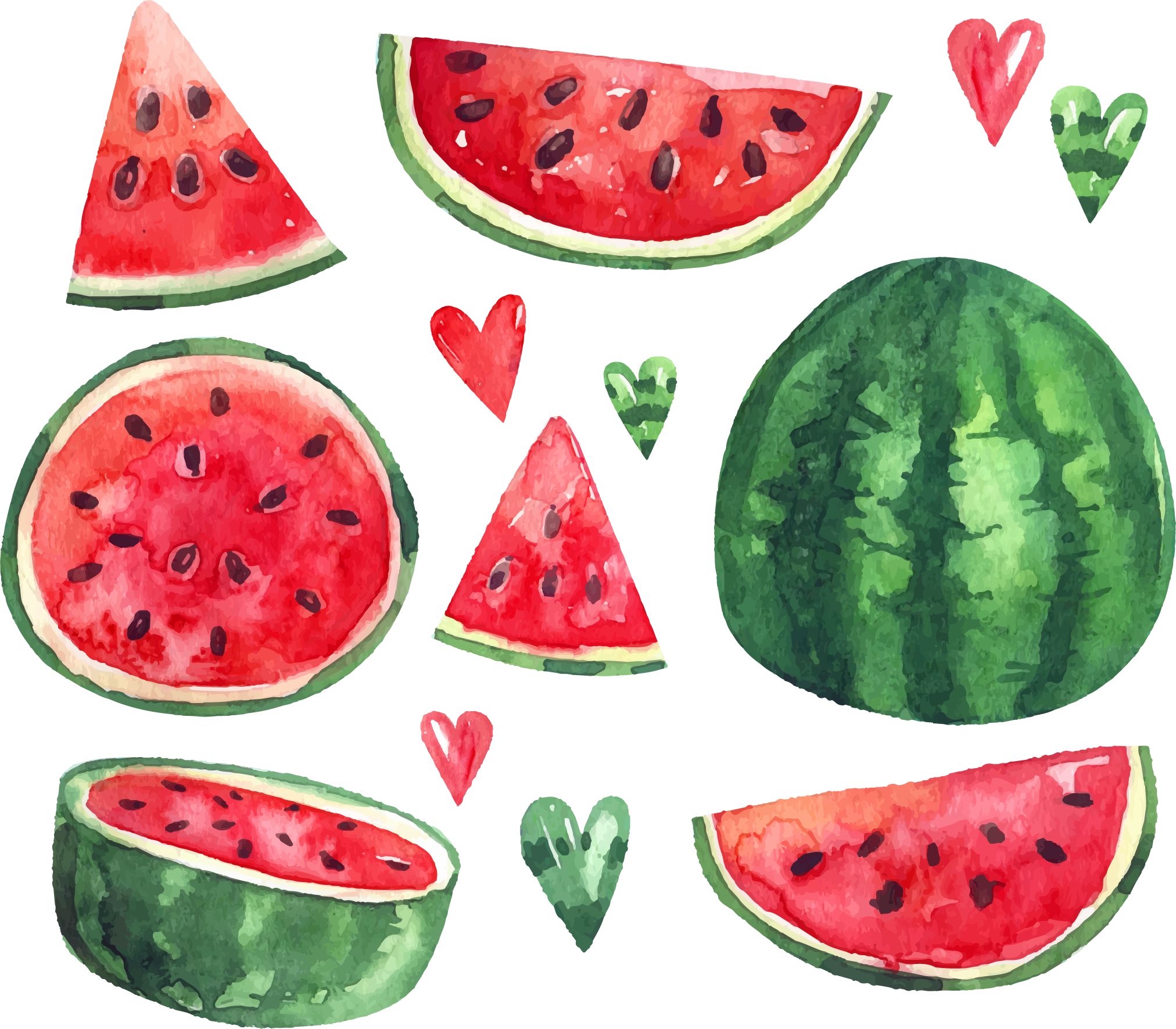 Summer Citrullus Ice Euclidean Vector Watermelon Lanatus - وکتور هندوانه شب یلدا Transparent PNG - 2024x1771 - Free Download on - Transparent PNG Free Download