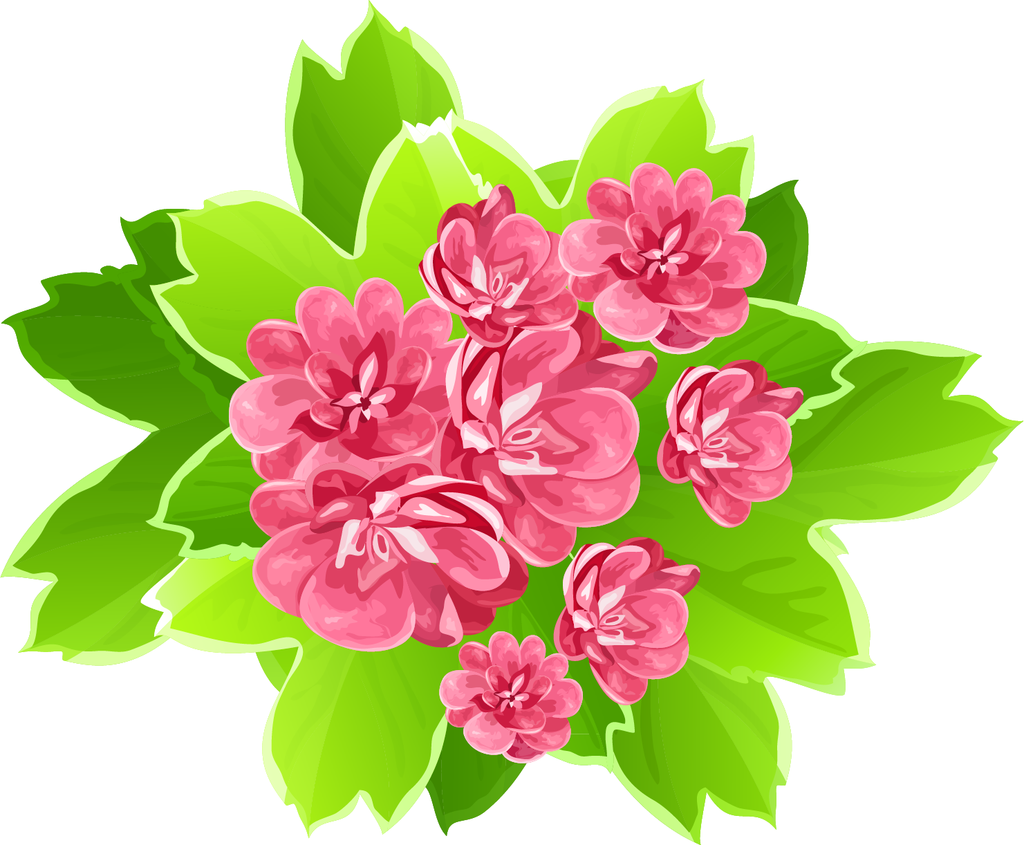 Gorgeus Clipart Summer Flower - Beautiful Flower Clipart Png Transparent PNG - 1481x1222 - Free Download on - Transparent PNG Free Download