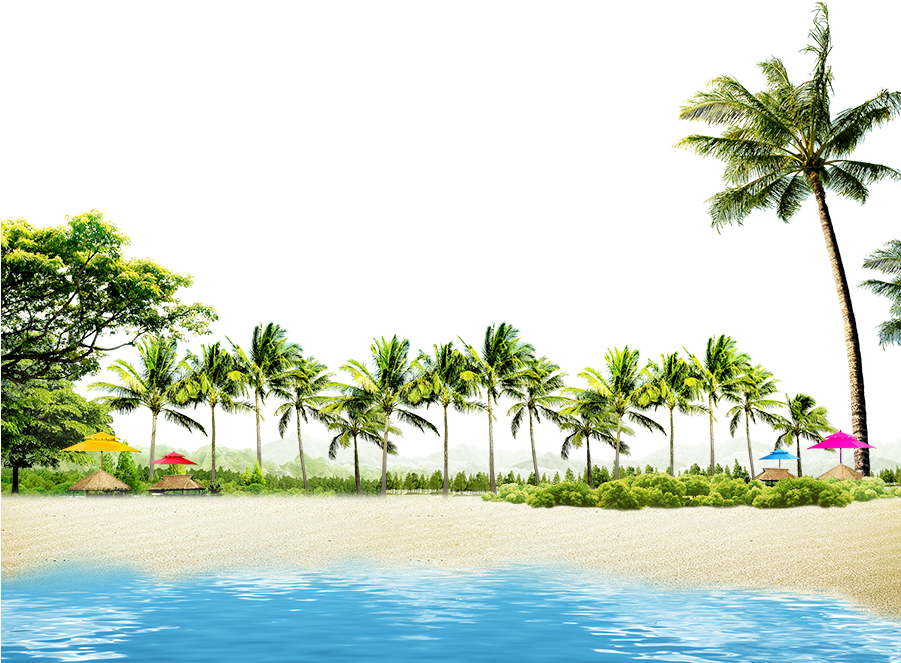 Beach With Coconut Palms And Summer Huts - Coconut Tree Border Png Transparent PNG - 900x771 - Free Download on - Transparent PNG Free Download