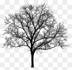 More Artists Like Stock - Winter Tree Silhouette Png - Free Transparent PNG Clipart Images Download. - Winter Transparent PNG Free Download