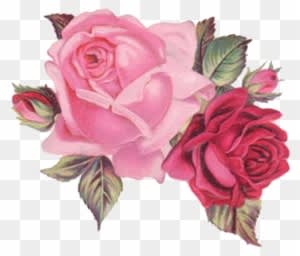 Vintage Flowersart - Viktorianische Winter-rosen Danken Ihnen Zu Karte - Free Transparent PNG Clipart Images Download. - Transparent PNG Free Download