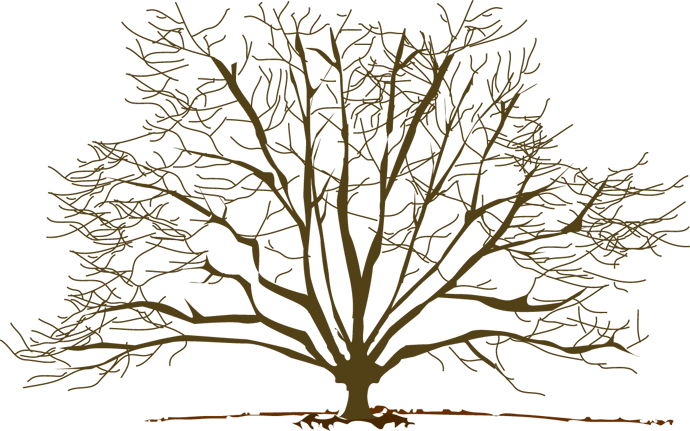 Winter Tree Free Clip Art - Winter Tree Clip Art - Free Transparent PNG Clipart Images Download. - Transparent PNG Free Download