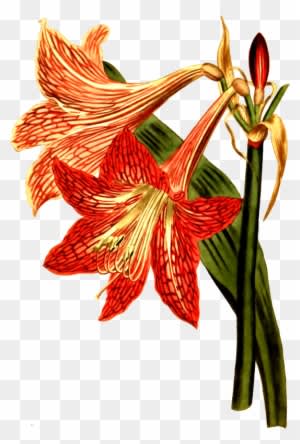 Medium Image - Modern Vintage Winter Ga Square Car Magnet 3" X 3" - Free Transparent PNG Clipart Images Download. - Transparent PNG Free Download