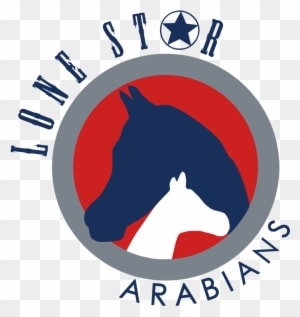 Dallas Cowboys Helmet - News Winter Party Diamond - Free Transparent PNG Clipart Images Download. - Transparent PNG Free Download