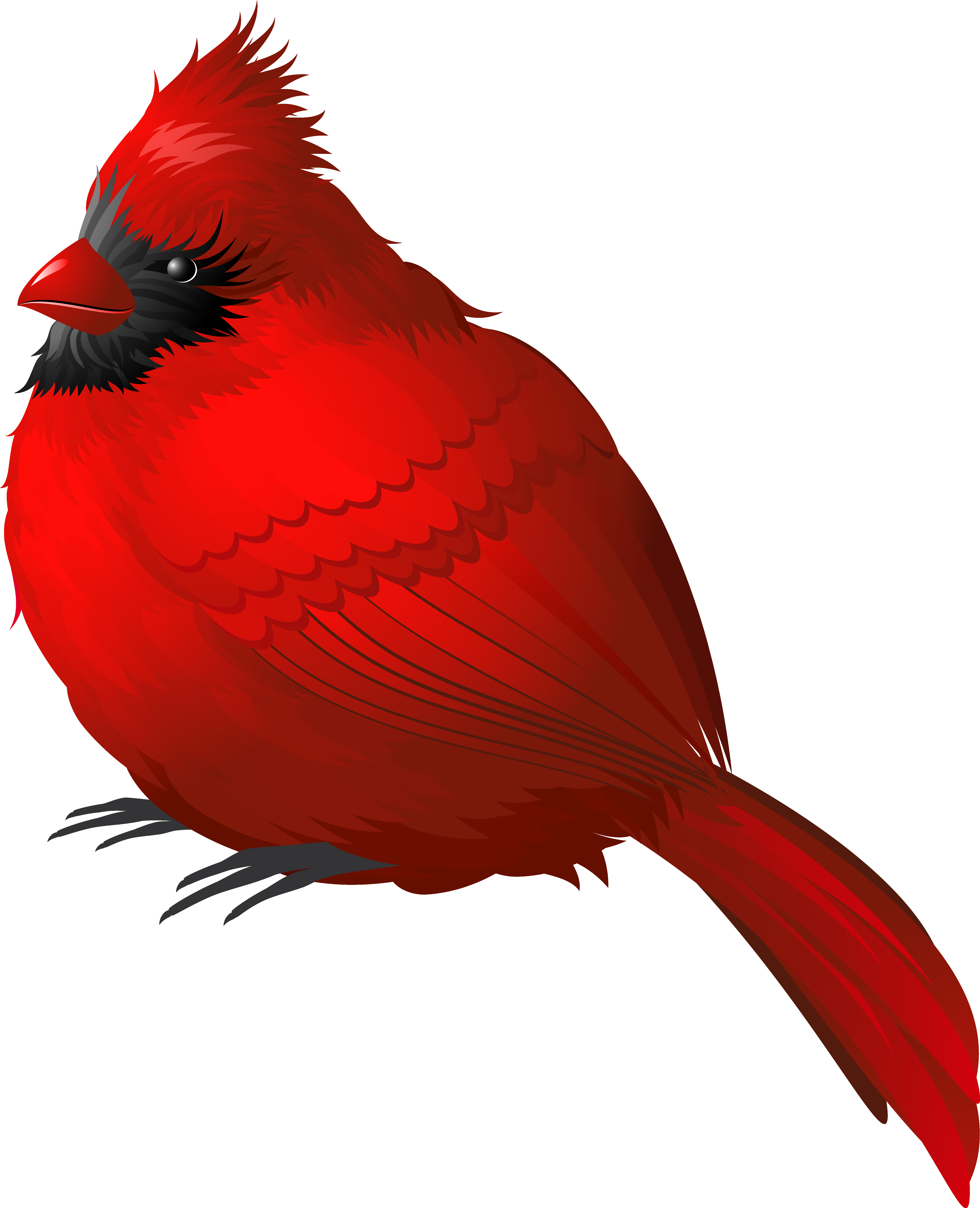 Red Winter Bird Png Clipart Image - Red Bird Png - Free Transparent PNG Clipart Images Download. - Transparent PNG Free Download
