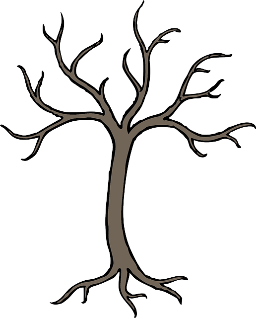 Free Image On Pixabay - Branches On A Tree - Free Transparent PNG Clipart Images Download. - Transparent PNG Free Download