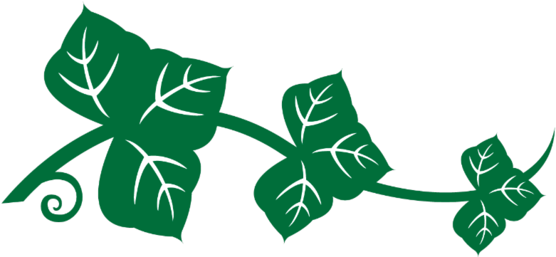 Kudzu Competes With Native Plants For Sunlight But - Camp Kudzu - Free Transparent PNG Clipart Images Download. - Transparent PNG Free Download