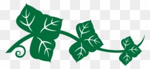 Kudzu Competes With Native Plants For Sunlight But - Camp Kudzu - Free Transparent PNG Clipart Images Download. - Winter Transparent PNG Free Download