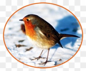 Winter Clipart - Love Of Mary Brennan [book] - Free Transparent PNG Clipart Images Download. - Winter Transparent PNG Free Download