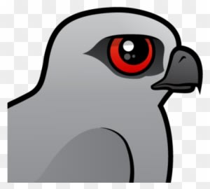 The Mississippi Kite Is A Medium Sized Bird Of Prey - Mississippi Kite - Free Transparent PNG Clipart Images Download. - Winter Transparent PNG Free Download