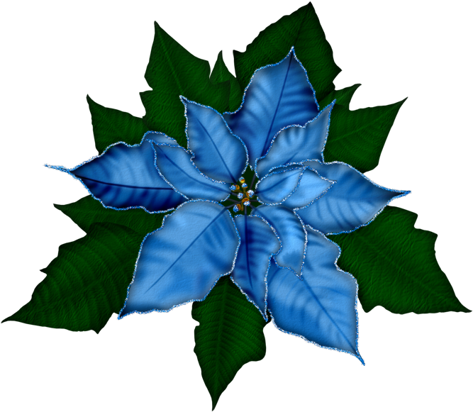 Fantasy Moments ~ Winter Impressions - Flores Navideños - Free Transparent PNG Clipart Images Download. - Transparent PNG Free Download