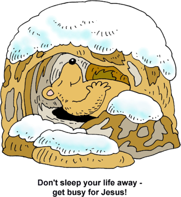 Image Bear In Hibernation Christart Com Rh Christart - Hibernation Clip Art - Free Transparent PNG Clipart Images Download. - Transparent PNG Free Download