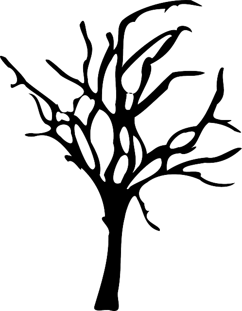 Winter Forest Decline, Forest Dieback, Tree, Dead, - Spooky Tree Silhouette Png - Free Transparent PNG Clipart Images Download. - Transparent PNG Free Download
