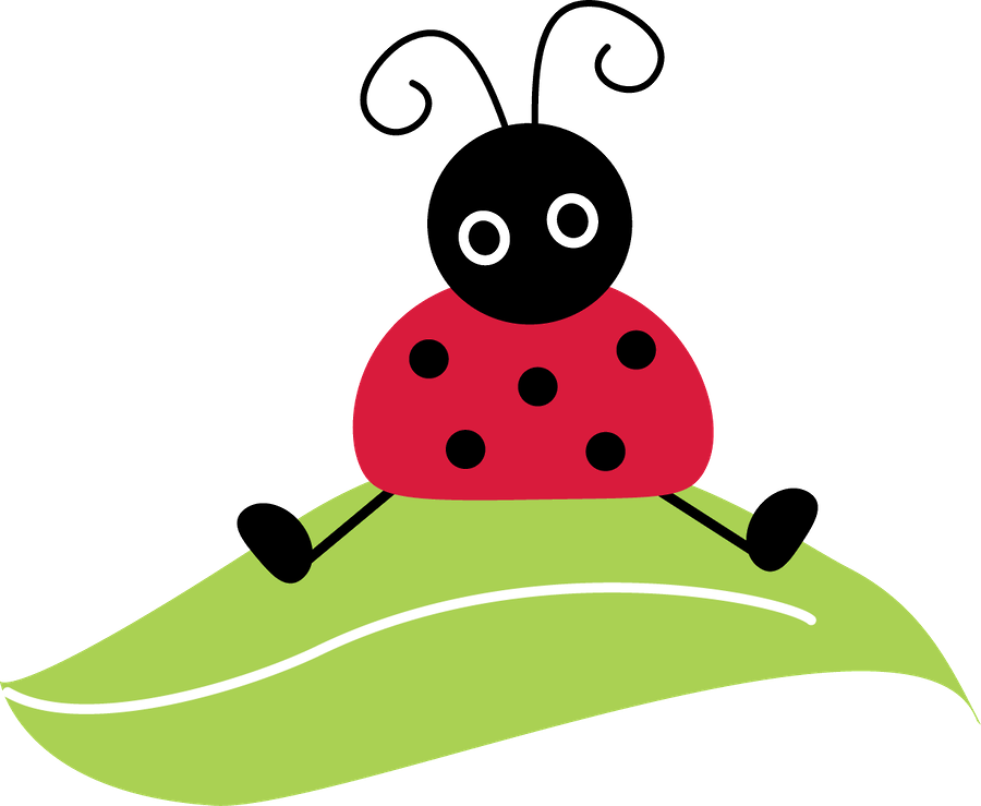 Adieu, Du Winter Der Du Eigentlich Nie Wirklich Da - Ladybird Themed Classroom Printable - Free Transparent PNG Clipart Images Download. - Transparent PNG Free Download