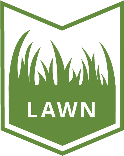 Your Grass Is Waking Up After A Long, Cold Winter And - Your Grass Is Waking Up After A Long, Cold Winter And - Free Transparent PNG Clipart Images Download. - Transparent PNG Free Download