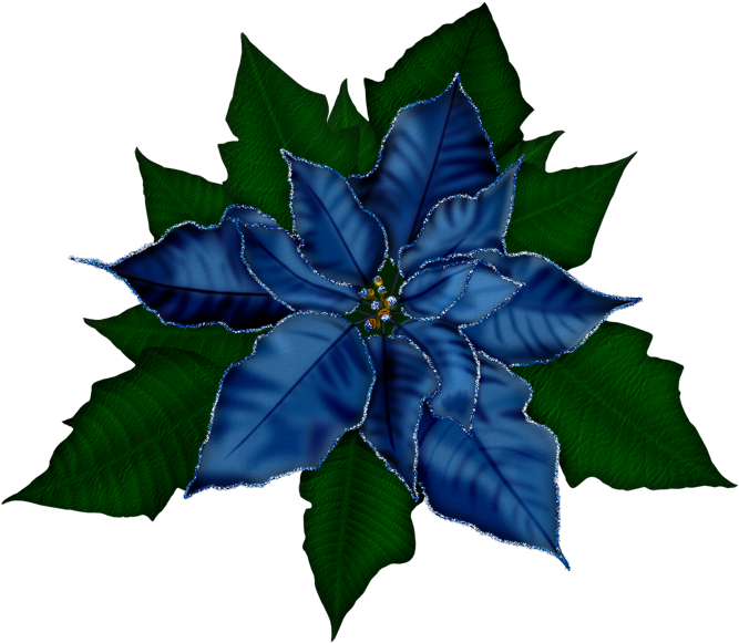 Fantasy Moments ~ Winter Impressions - Flores Navideños - Free Transparent PNG Clipart Images Download. - Transparent PNG Free Download