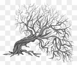 Winter Trees Painting Tree, Clipart Illustration, Png - Winter Trees Painting Tree, Clipart Illustration, Png - Free Transparent PNG Clipart Images Download. - Winter Transparent PNG Free Download