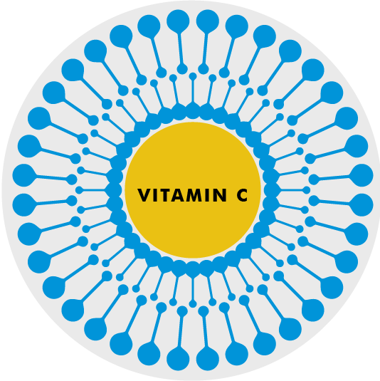 Liposomal Power Pack - Wall Clock Online Flipkart - Free Transparent PNG Clipart Images Download. - Winter Transparent PNG Free Download