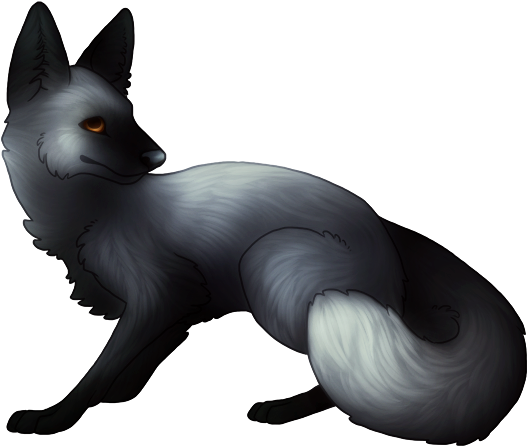 Winter Arctic Fox- Available For Special Offer - Silver Fox - Free Transparent PNG Clipart Images Download. - Winter Transparent PNG Free Download