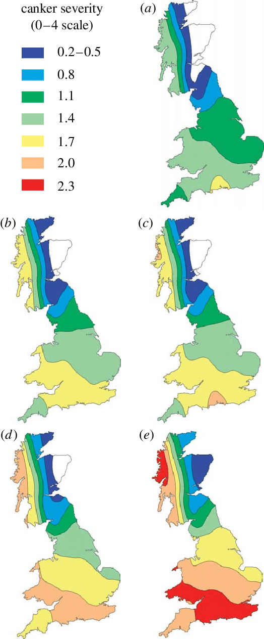 Predicted Severity Of Phoma Stem Canker At Harvest - Map Of Uk - Free Transparent PNG Clipart Images Download. - Transparent PNG Free Download