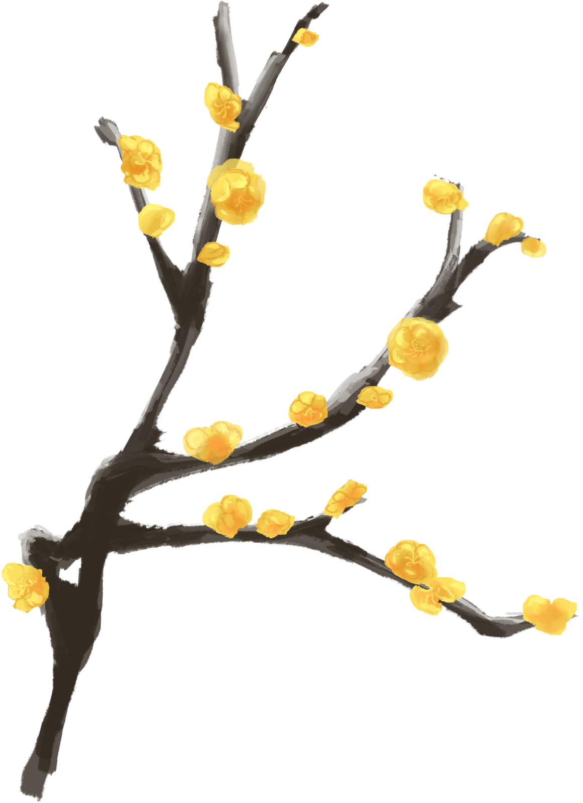 Ink Plum Hand Painted Branch Winter Antique Png And - Twig - Free Transparent PNG Clipart Images Download. - Transparent PNG Free Download