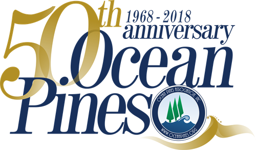 Ocean Pines 50th Anniversary Winter Ball Transparent PNG - 500x293 - Free Download on - Transparent PNG Free Download
