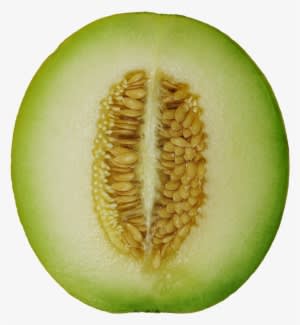 Winter Melon Png Image - Winter Melon Png Transparent PNG - 1017x1088 - Free Download on - Transparent PNG Free Download