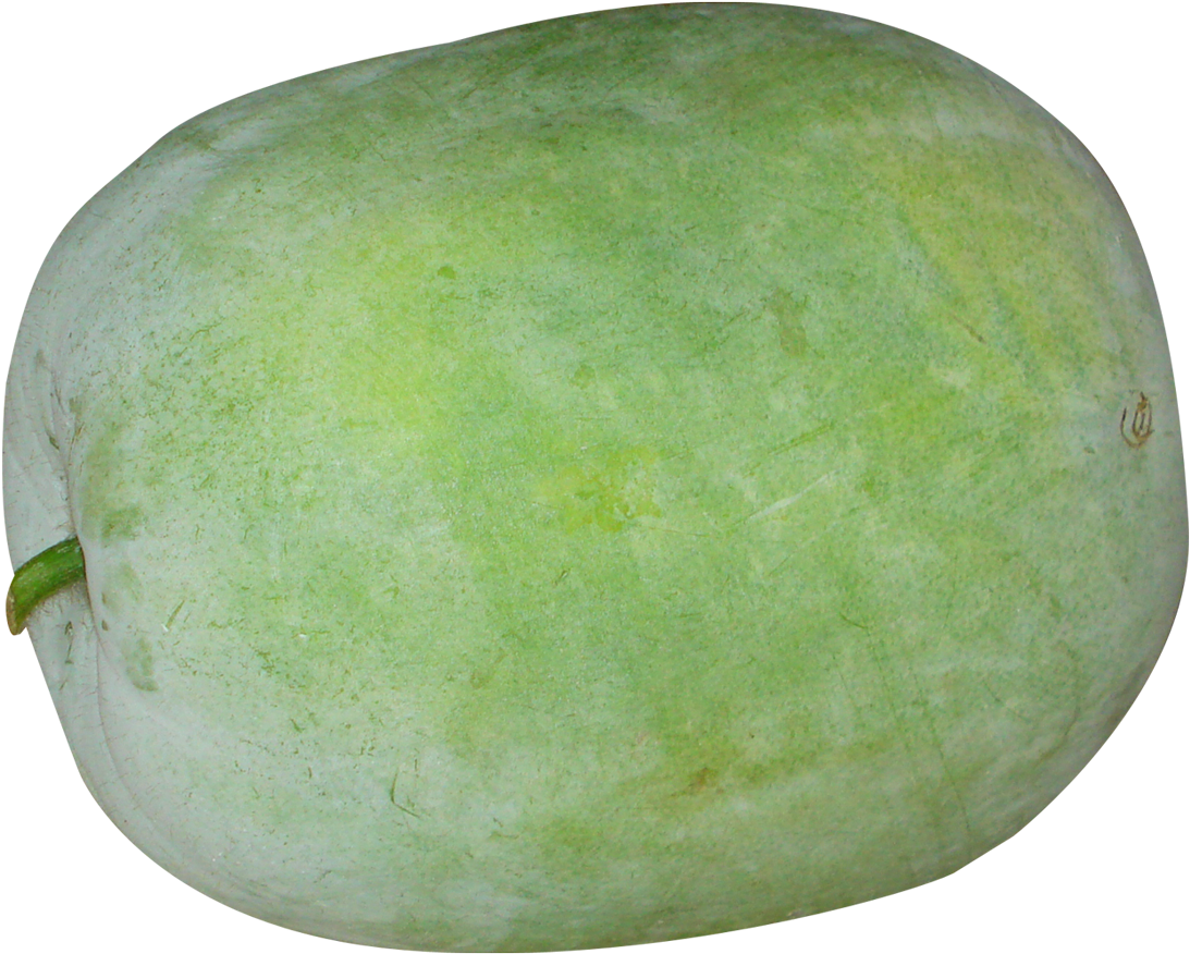 Giant Winter Melon Png Image - Winter Melon Png Transparent PNG - 1153x931 - Free Download on - Transparent PNG Free Download