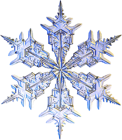 Clipart Png Winter - Clipart Winter Png Transparent PNG - 392x450 - Free Download on - Transparent PNG Free Download